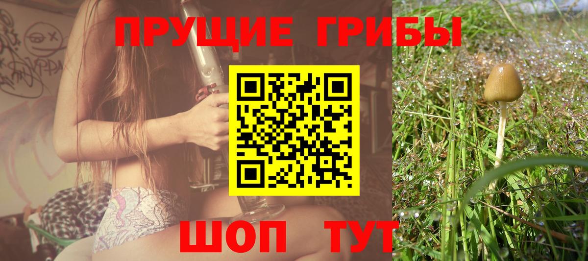 Ступино  Псилоцибиновые грибы GOLDEN TEACHER  Вход с VPN 